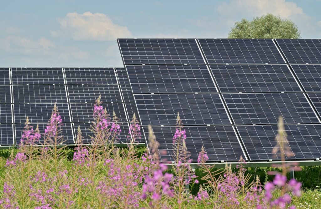 solární panely, fotovoltaické panely, solární energie, energie ze slunce, udržitelná energie, zelená energie, ekologie