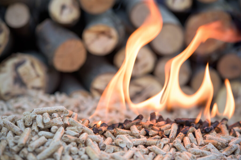 Energie aus Biomasse, organische Abfälle, landwirtschaftliche Abfälle, Holz, erneuerbare Energie
